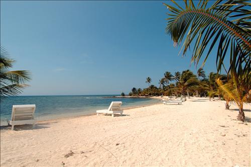 Laguna Beach Resort Útila Facilidades foto